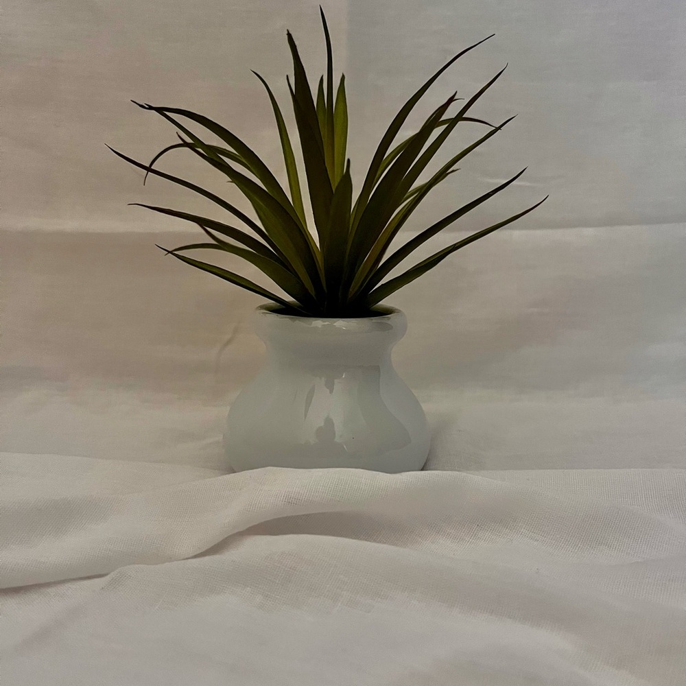 Mini Plastic Desk Plant 🪴